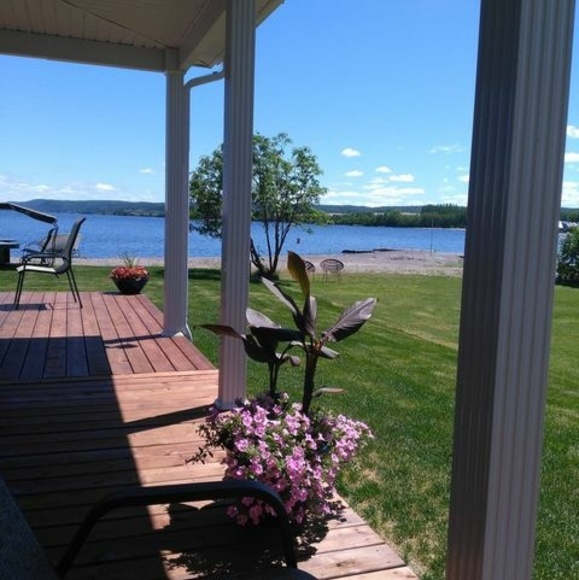 Meet your Posher, Lina - Picture 1 of 1